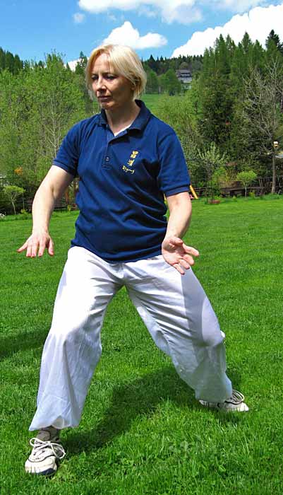 Tai Chi